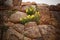 A stone wall in the Inca ruins. Chinchero, Peru