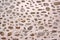 Stone Wall Made From Granite Rocks With White Honeycomb Pattern