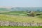 Stone wall panorama - Yorkshire Dales (UK)