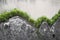 Stone wall with plant outline design of hill tops background texture