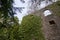 Stone wall of the ruins of an old castle of Schloss Neuenburg in Germany, overgrown with ivy, in spring.