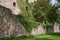 Stone wall of the ruins of an old castle of Schloss Neuenburg in Germany, overgrown with ivy, in spring.