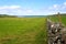 Stone wall in Scottish countryside