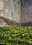 Stone wall texture detail Medieval castle.