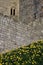 Stone wall texture detail Medieval castle.