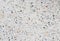 Stone wall texture, Terrazzo Marble floor for background