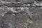 Stone wall with traces of beige paint and spiderweb. Gray with red tone. Closeup of crumbling part of building, urban architecture