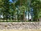 Stone wall and Trees scenic view on road to Sorbie