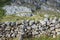 Stone wall in in Valle del Lago