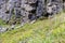 stone walls of canyon of Olfusa river in Iceland