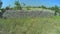 Stone walls in Dalmatian hinterland, aerial shot