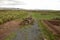 Stone walls uncovered by archaeologists at the Puma Punku, a UNESCO world heritage site. Tiwanaku, Bolivia