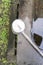 Stone water basin and ladle at Shinto shrine in Tokyo, Japan