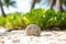 Stone On White Sand With Sand Dollar Resting On Top Against Backdrop Of Unfocused Coastal Vegetation. Generative AI