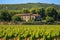 stone winery building nestled among dense vineyard rows