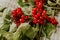 Stoneberry red berries with leaves. healthy food. Healthy sweets.