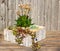 Stonecrop plants in a wooden flower pot.