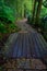 A stoned entrance of Hakone shrine, in the forest in Japan