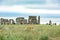 Stonehenge, prehistoric monument at Salisbury Plain, Wiltshire, England, United Kingdom