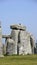 Stonehenge stone with bird