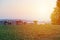 Stonehenge in village Krasejovka at sunrise, Czech landscape