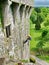 Stonemason repairs walls of Blarney Castle a medieval castle near Cork, Ireland