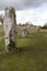 Stones in the Ancient Avebury Circle