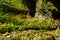 Stones arranged in zen towers