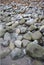 Stones on the beach at Ballinskelling beach, Ireland