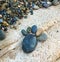 Stones on beach in Co Thach, Binh Thuan, Vietnam