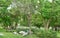 Stones, benches, trees in the park