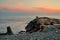 Stones on the Black Sea and the fisherman, panoramas, views.