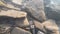 Stones at the bottom of a mountain river and air bubbles