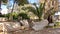 Stones and broken columns in the ruins of Carthage