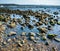 Stones on Canary Island shore, Lanzarote