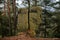 Stones with Celtic runes, mysterious symbols, Hiking Golden Trail of Bohemian Paradise near Vranov castle and Pantheon, sandstone