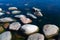 Stones in clear blue lake water. Lake Ladoga, Russia