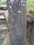 Stones dating from the eighteenth century in evangelical medieval cemetery