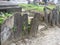 Stones dating from the eighteenth century in evangelical medieval cemetery