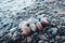 Stones of different shades and different oval shapes lie on the stony shore of a large and cold lake.