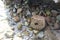 Stones of different sizes and soil, beautiful background