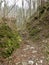 Stones and earth path through the forest, fallen leaves on the ground, rocks covered with moss, quiet, quiet, autumn landscape for