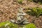 Stones in equilibrium, pile of rocks in the forest in Autumn