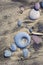 Stones form diagonal on sandy beach