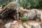 Stones formation of Filitosa, megalithic site