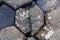 Stones at Giants Causeway