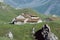 Stones houses with orange slates roofs in french alps, France