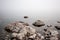 Stones on the lake in the fog.