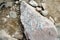 Stones lying on the ground in the mountains.