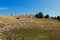 Stones, meadows, grass and trees. Bjelasnica Mountain, Bosnia and Herzegovina